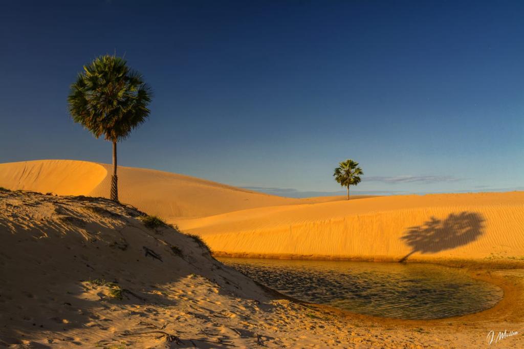 DUNAS - LAGOA SOBRADINHO